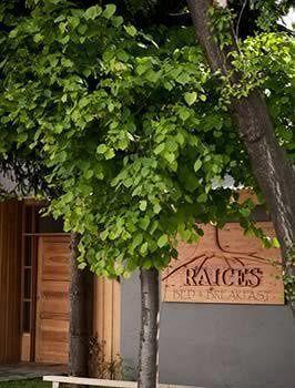 קויאיקה Raices Bed And Breakfast מראה חיצוני תמונה
