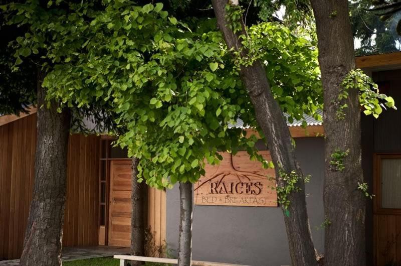 קויאיקה Raices Bed And Breakfast מראה חיצוני תמונה